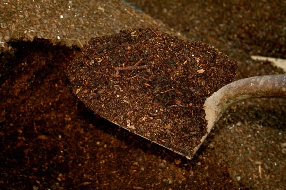 Trusted residential landscaping for year-round maintenance across Nashville, TN - Acer Landscape Services