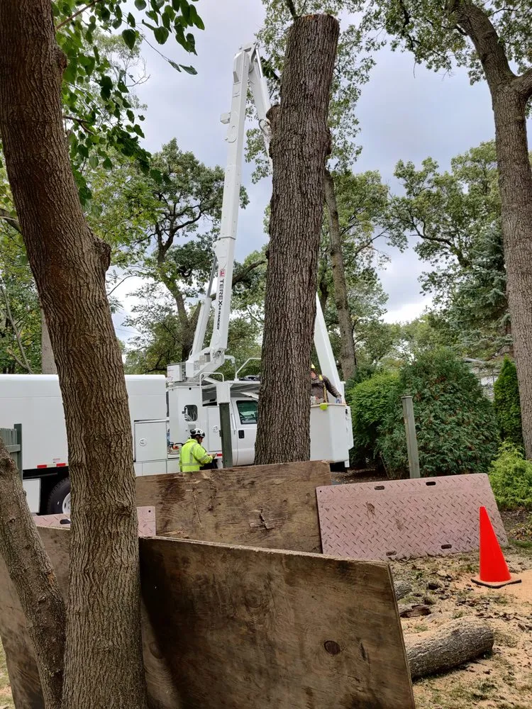 Affordable outdoor landscaping in Mundelein IL, IL by Acer Tree Service