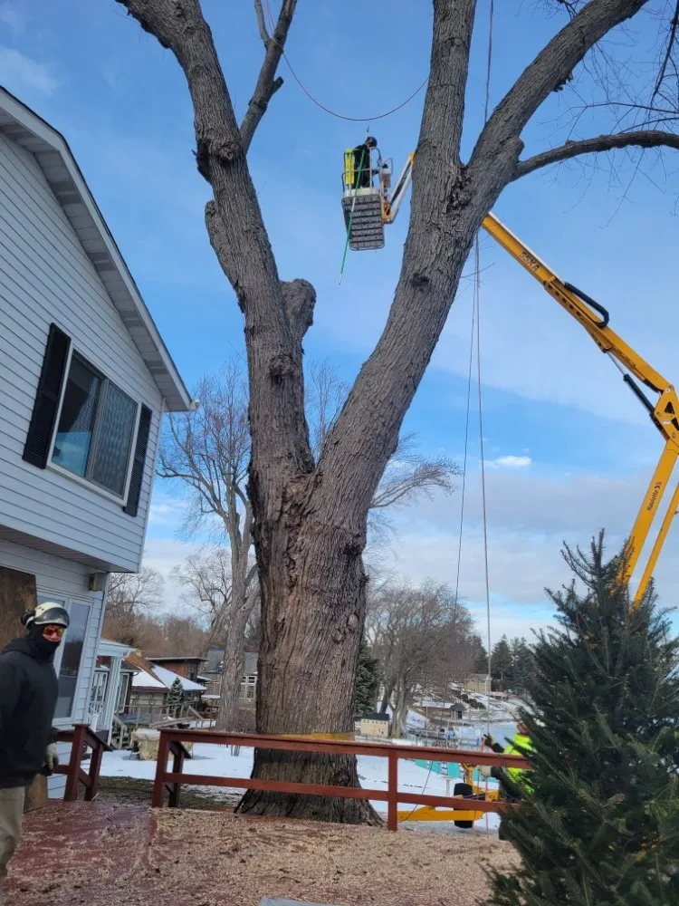 Local residential landscaping with custom design in Mundelein IL, IL by Acer Tree Service