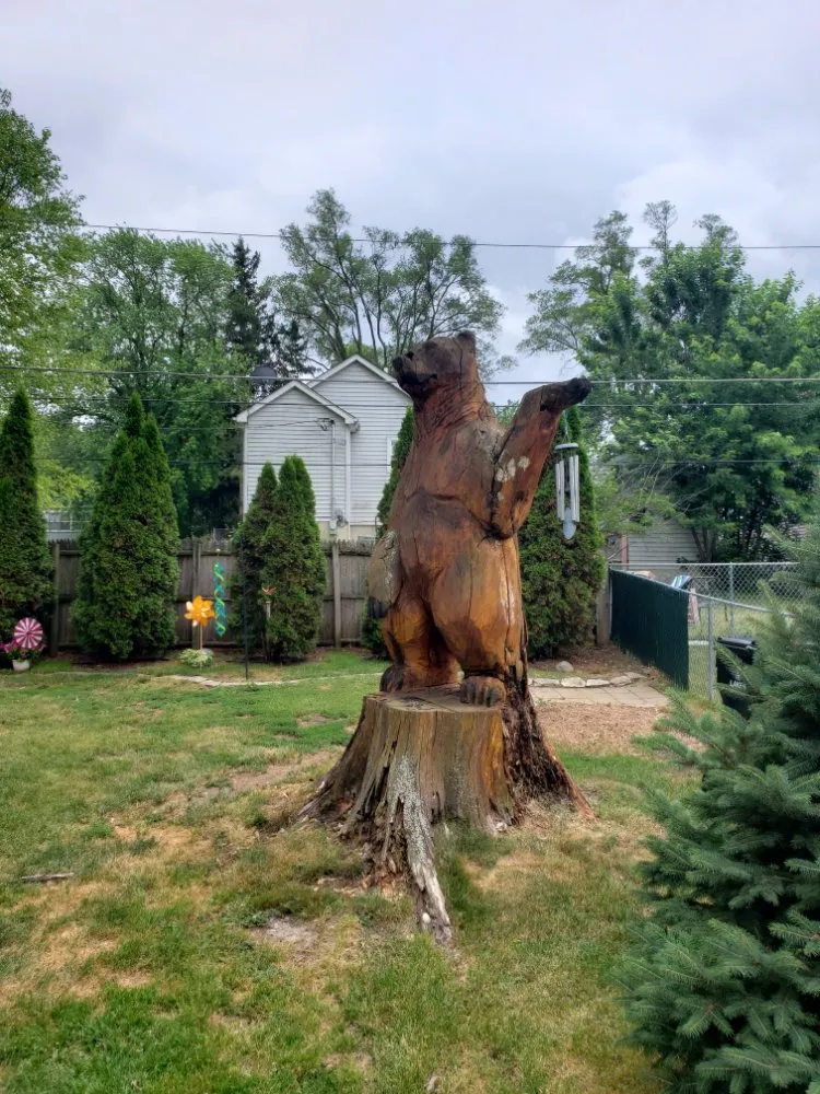 Trusted lawn care service for residential properties in Mundelein IL, IL by Acer Tree Service