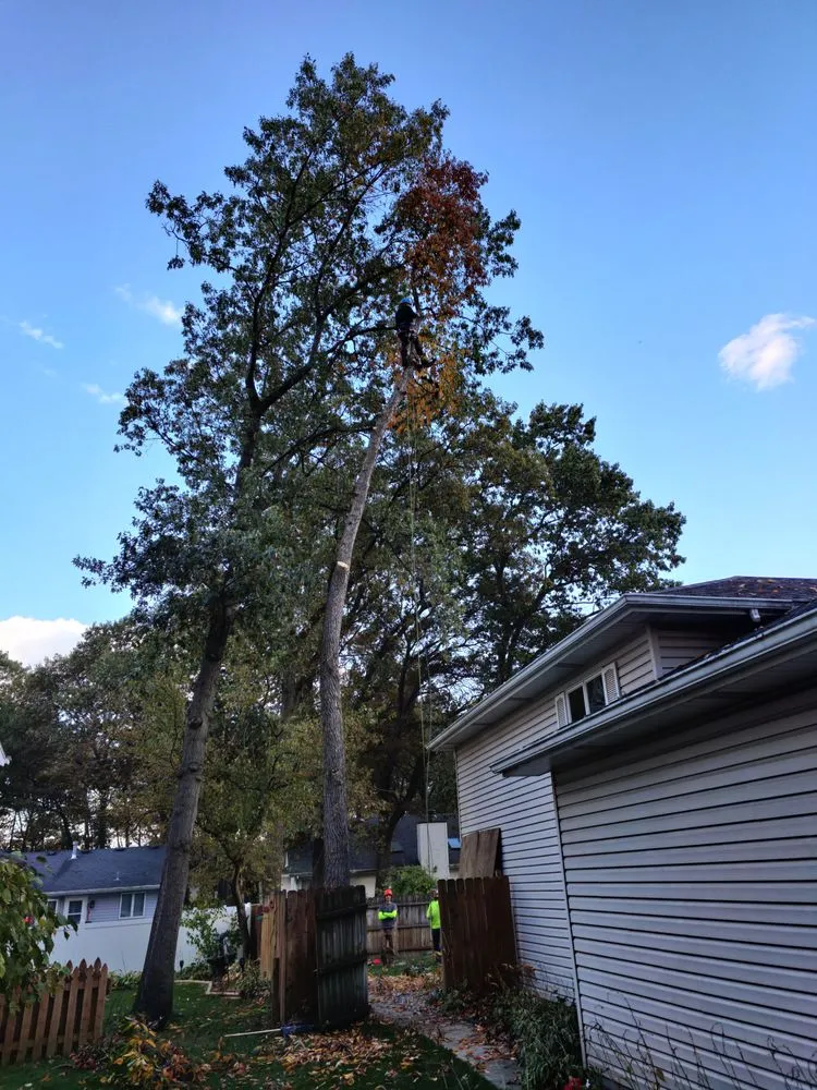 Affordable lawn care service in Mundelein IL, IL - Acer Tree Service