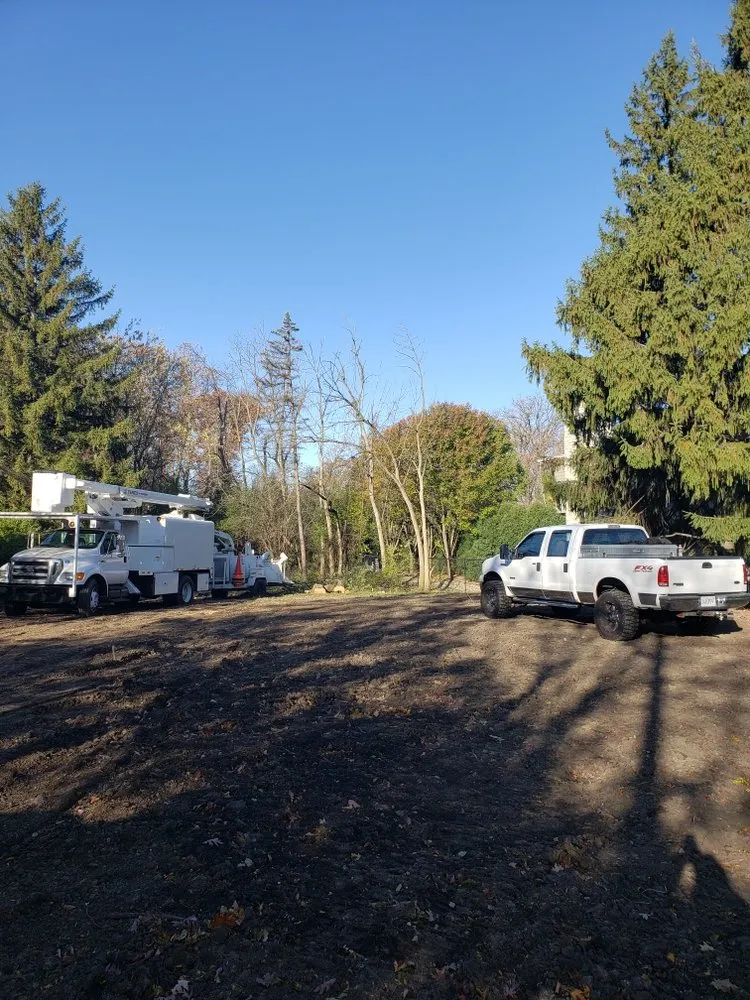 Local garden landscaping experts serving Mundelein IL, IL - Acer Tree Service