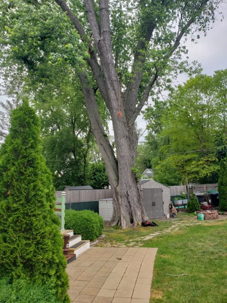 Affordable landscaping services in Mundelein IL, IL by Acer Tree Service