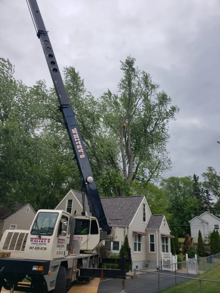 Local yard maintenance for beautiful yards in Mundelein IL, IL by Acer Tree Service
