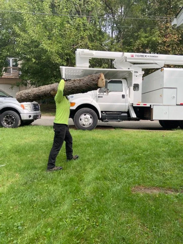 Top-rated lawn care service for residential properties in Mundelein IL, IL by Acer Tree Service