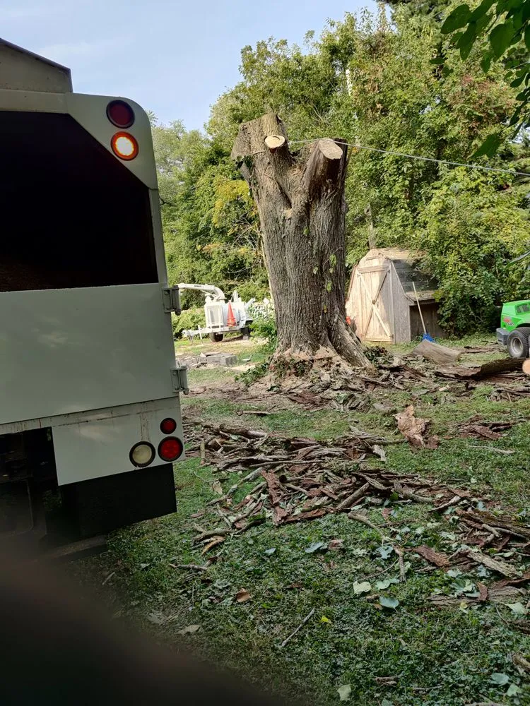 Custom lawn care service in Mundelein IL, IL by Acer Tree Service