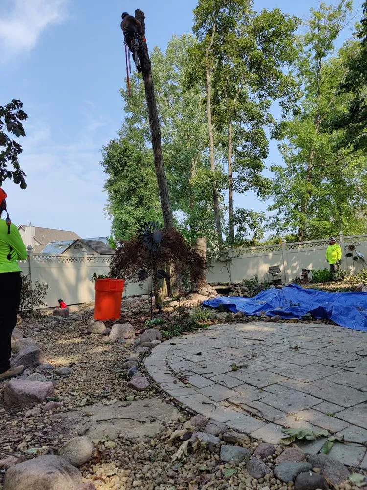 Local lawn care service in Mundelein IL, IL by Acer Tree Service