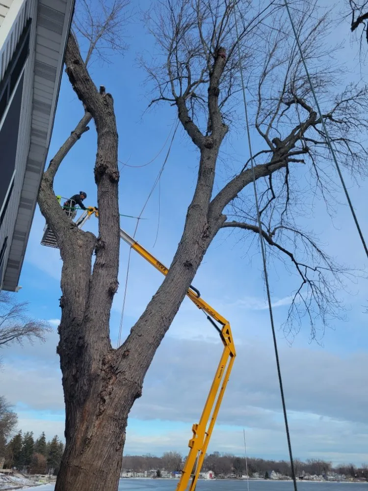 Reliable residential landscaping with custom design in Mundelein IL, IL by Acer Tree Service