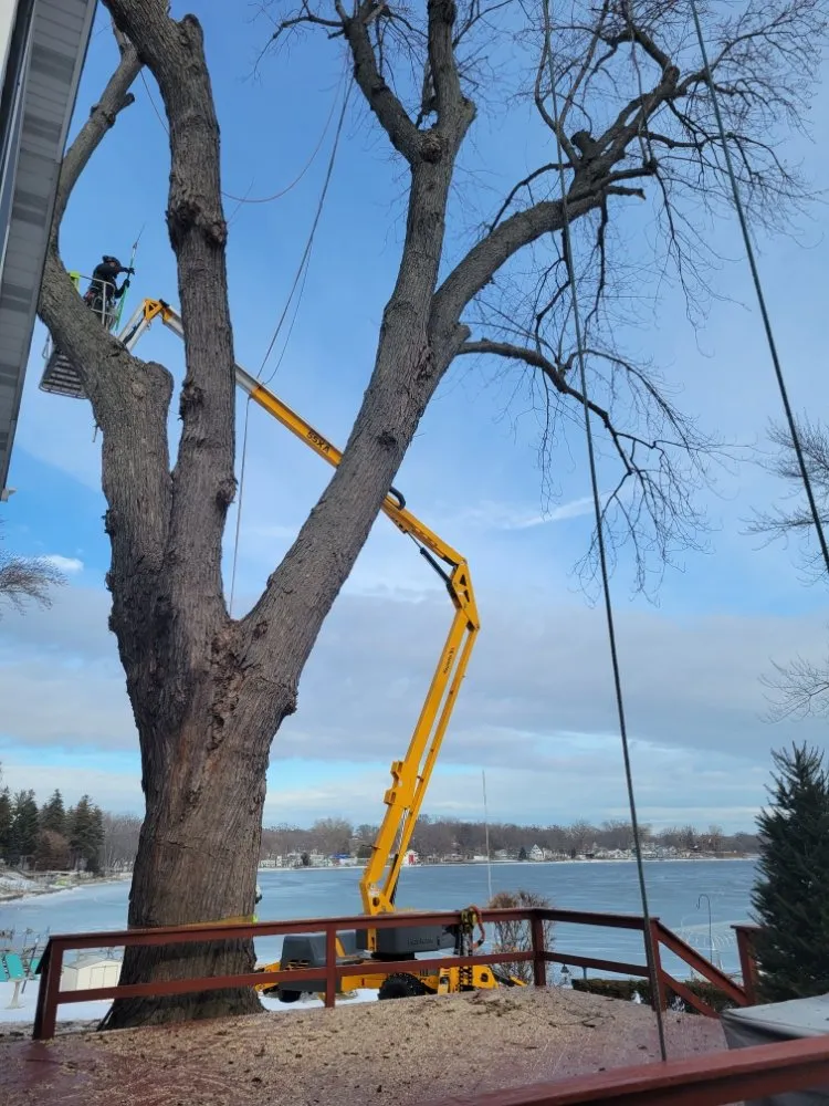 Expert landscape installation experts serving Mundelein IL, IL - Acer Tree Service