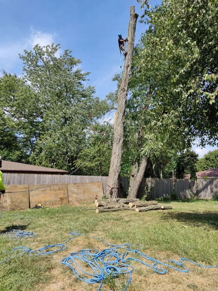 Custom lawn mowing service experts serving Mundelein IL, IL - Acer Tree Service