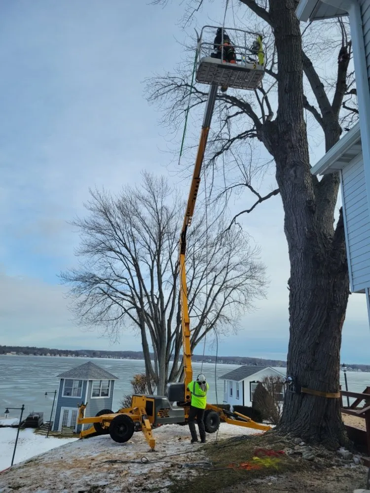 Local landscaping services near you across Mundelein IL, IL - Acer Tree Service