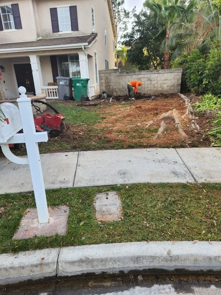 Trusted yard cleanup service in Pomona, CA - Acero's Landscape