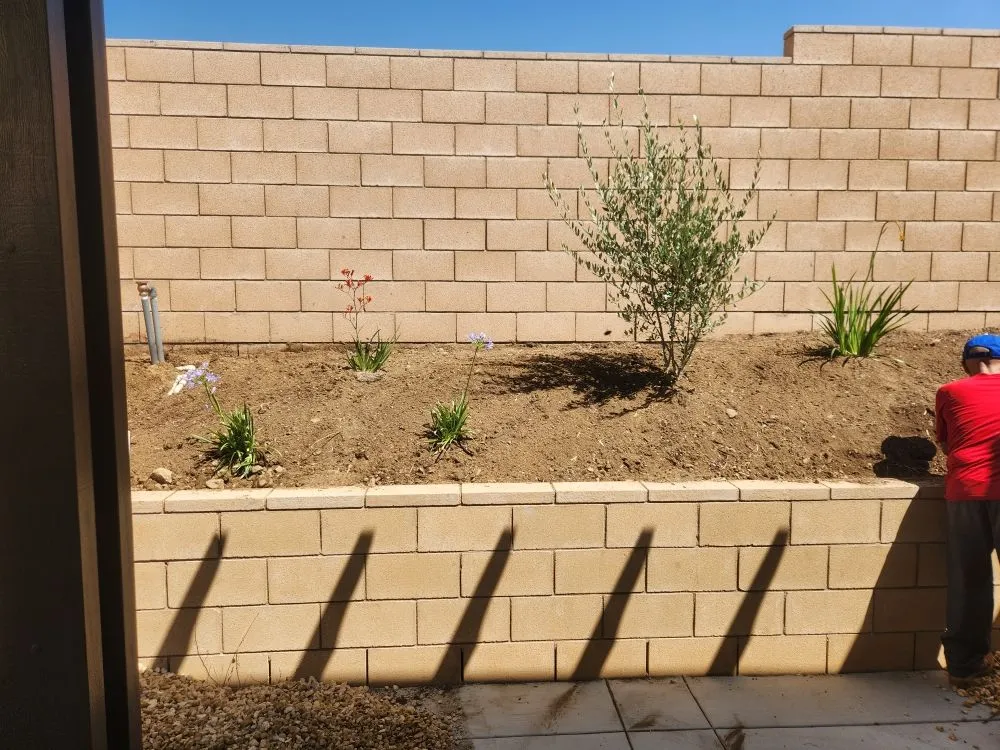 Expert lawn mowing service for outdoor upgrades across Pomona, CA - Acero's Landscape