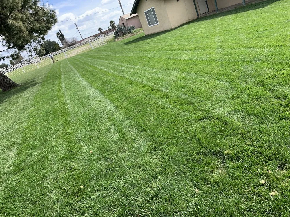 Reliable residential landscaping in Rialto, CA by Aceros Landscape