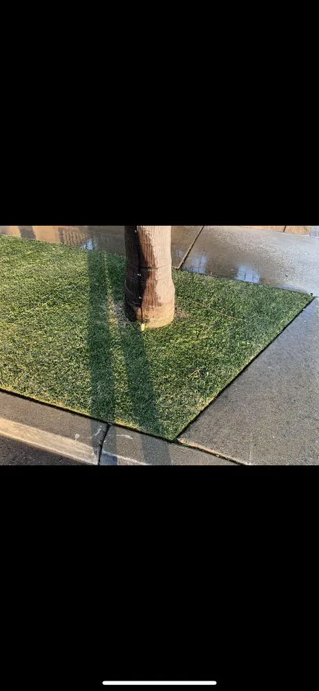 Expert yard maintenance in Rialto, CA - Aceros Landscape