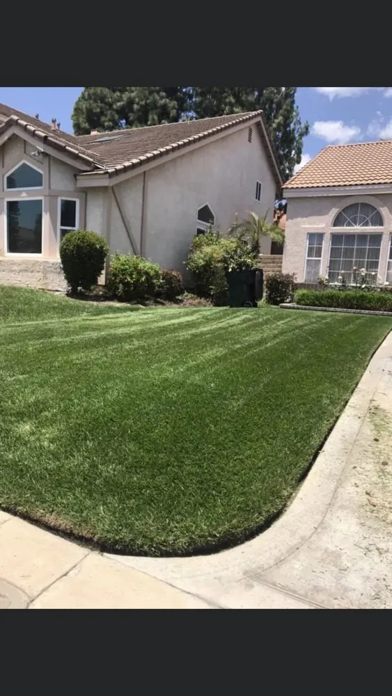 Reliable yard cleanup service for beautiful yards across Pomona, CA - Aceros Landscaping