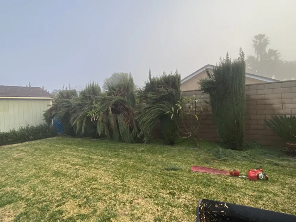 Professional landscape installation for beautiful yards across Pomona, CA - Aceros Landscaping