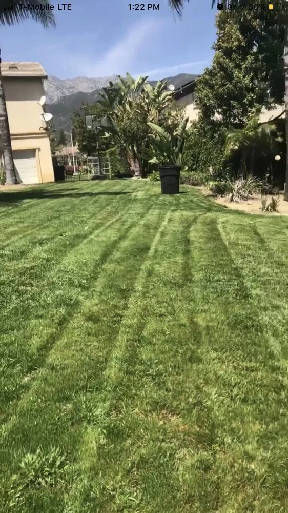 Professional residential landscaping in Pomona, CA - Aceros Landscaping