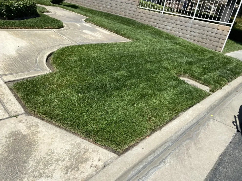 Professional landscape installation for beautiful yards across Pomona, CA - Aceros Landscaping