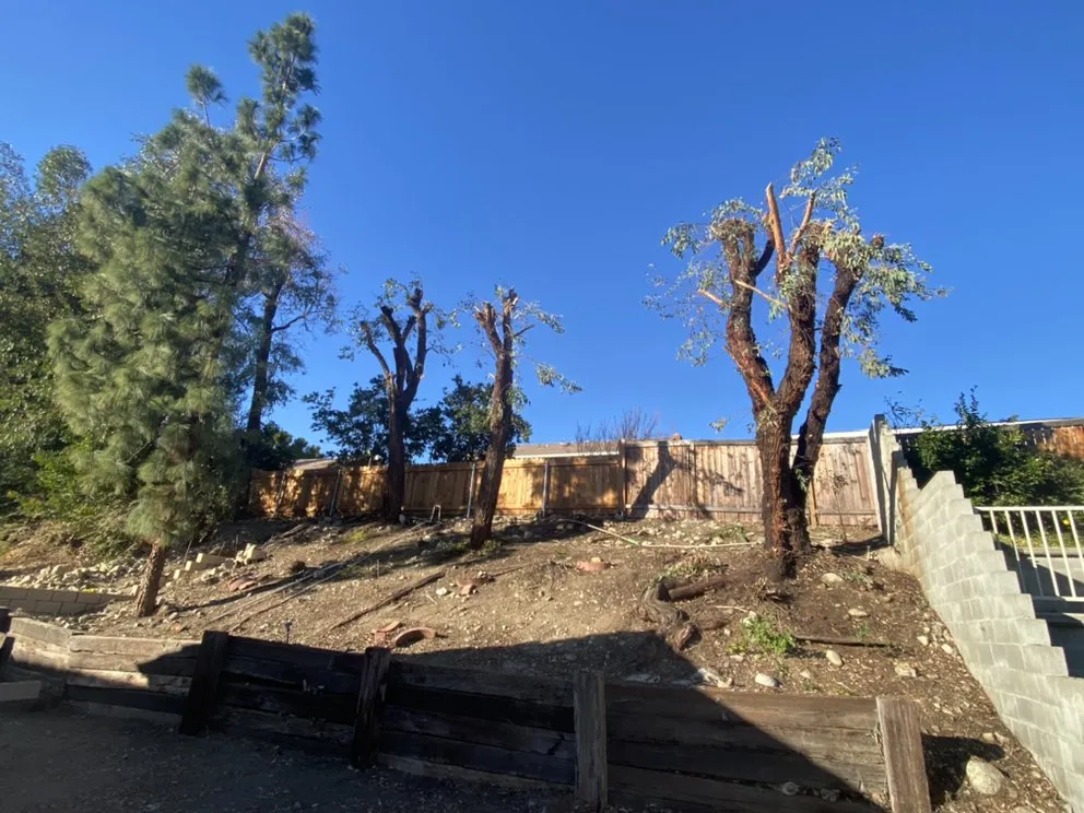 Top-rated garden landscaping in Pomona, CA - Aceros Landscaping