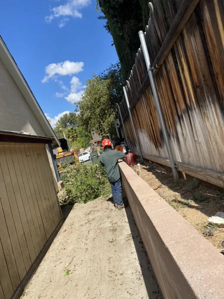 Local landscape design for outdoor upgrades across Pomona, CA - Aceros Landscaping