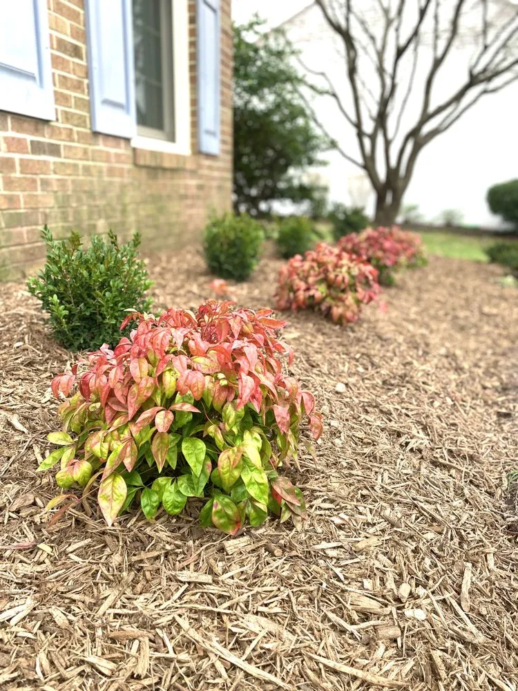 Custom yard maintenance for beautiful yards across Aldie, VA - Acers Landscape and Design