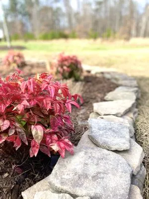 Acers Landscape and Design Logo