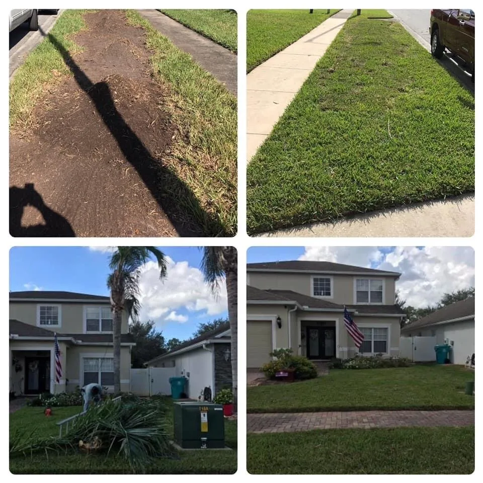 Local landscaping services in Alafaya, FL by Aces Landscape