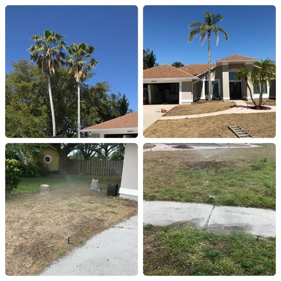 Top-rated lawn care service for year-round maintenance across Alafaya, FL - Aces Landscape