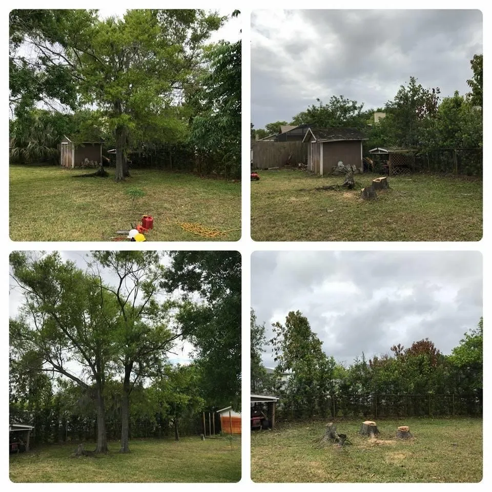 Custom residential landscaping for residential properties across Alafaya, FL - Aces Landscape