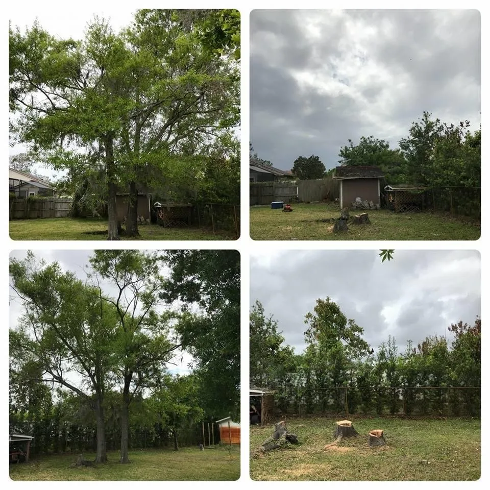 Professional landscape installation for residential properties across Alafaya, FL - Aces Landscape