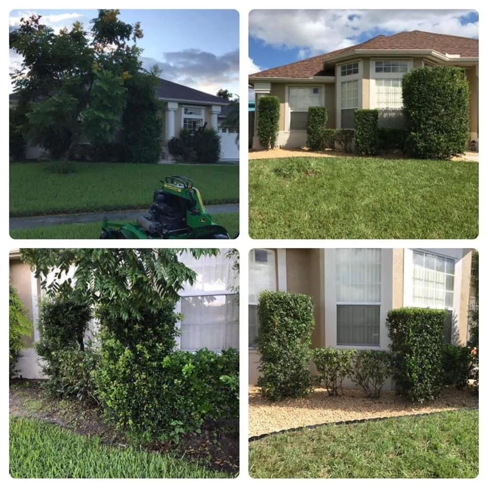 Reliable landscape installation experts serving Alafaya, FL - Aces Landscape
