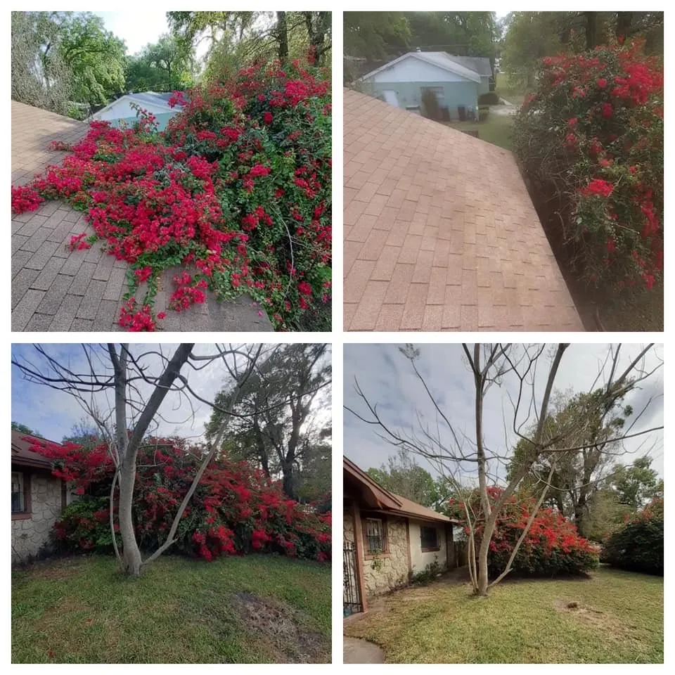 Local lawn mowing service experts serving Alafaya, FL - Aces Landscape