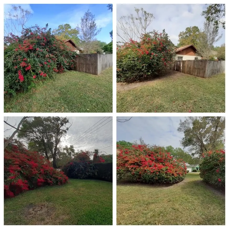 Affordable lawn care service experts serving Alafaya, FL - Aces Landscape