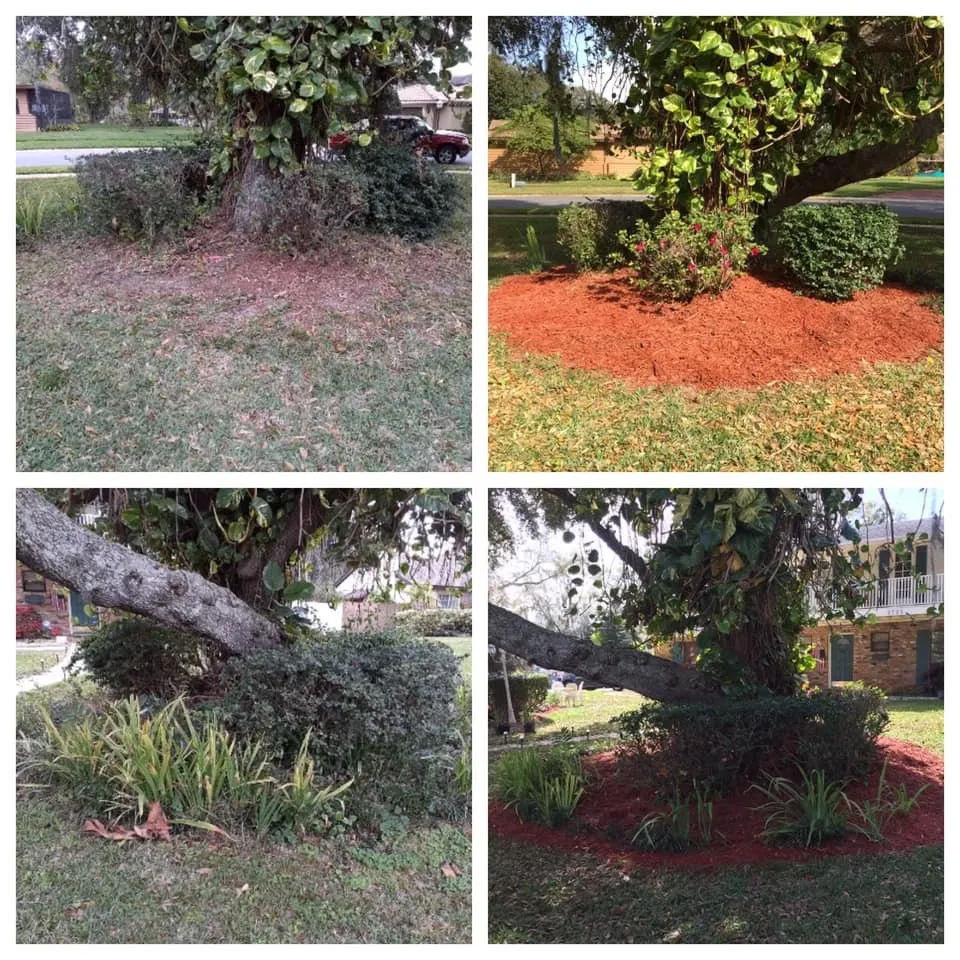 Professional outdoor landscaping in Alafaya, FL - Aces Landscape