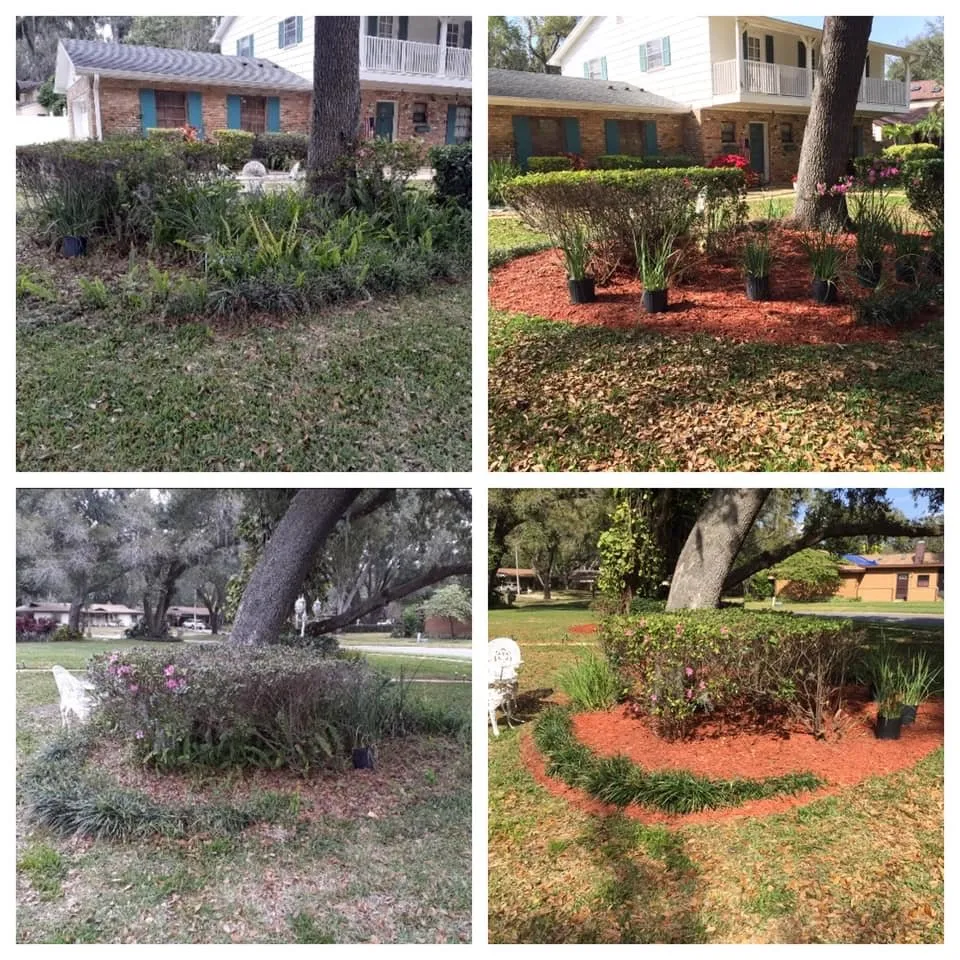 Top-rated landscape installation experts serving Alafaya, FL - Aces Landscape