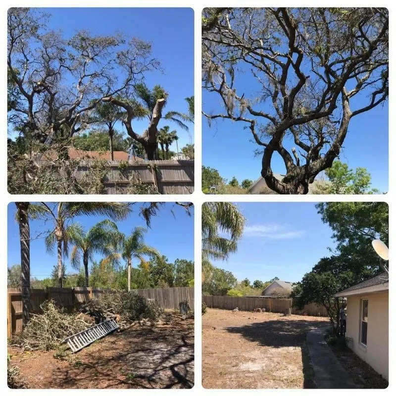 Professional landscaping services for residential properties in Alafaya, FL by Aces Landscape