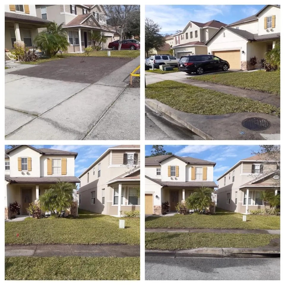 Affordable landscape installation in Alafaya, FL by Aces Landscape