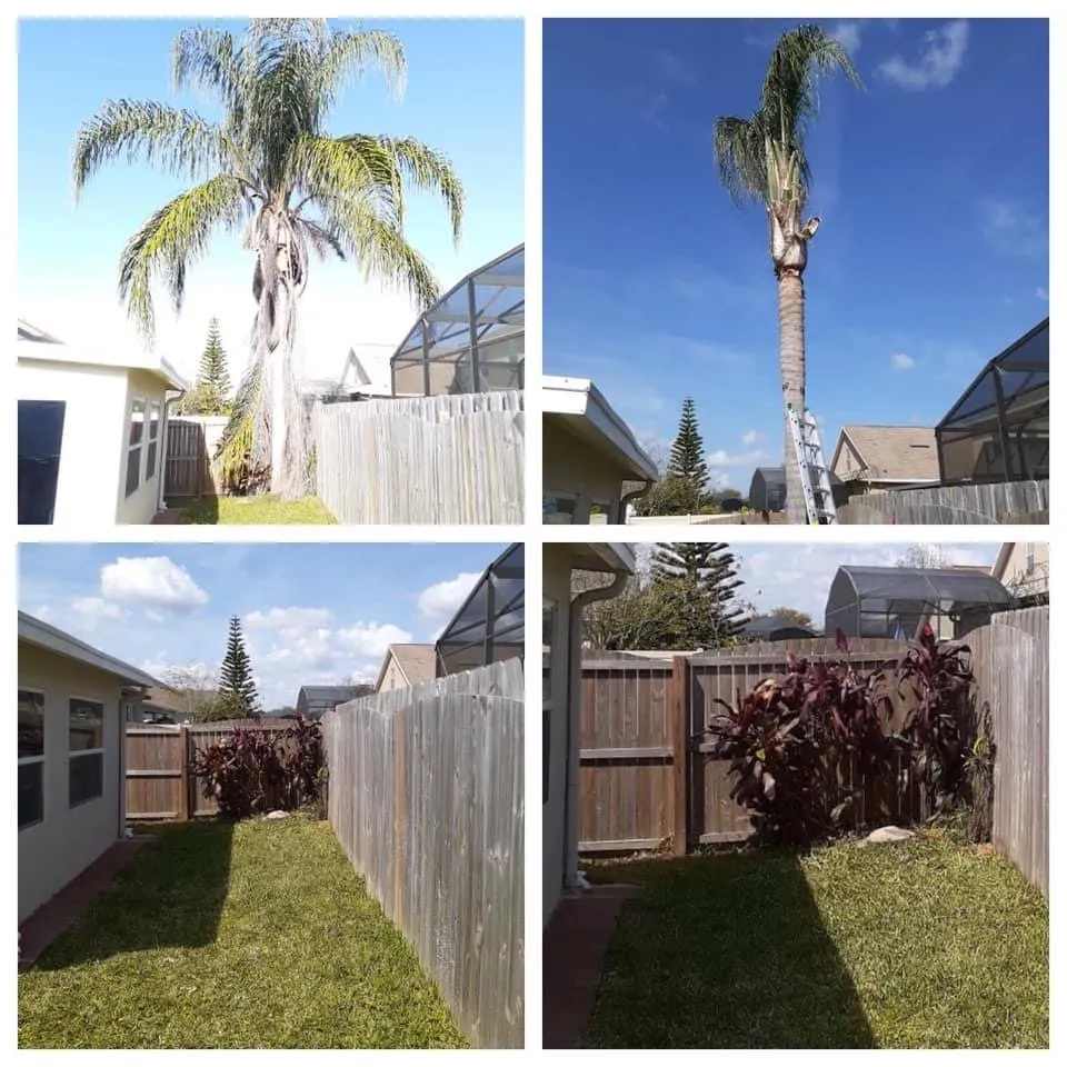 Custom yard cleanup service in Alafaya, FL by Aces Landscape