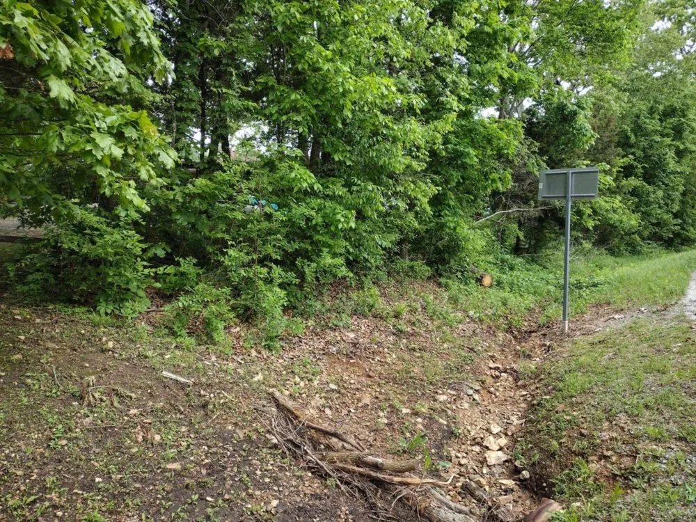 Top-rated lawn care service in Reeds Spring, MO by Ace's Lawn Care & Handyman services