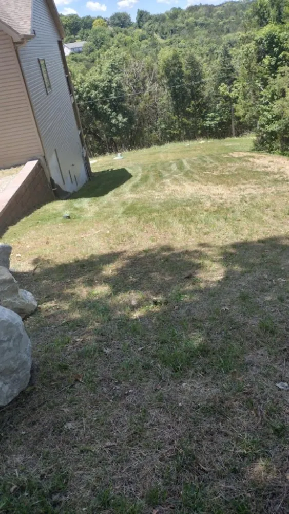 Top-rated landscape design for outdoor upgrades in Reeds Spring, MO by Ace's Lawn Care & Handyman services