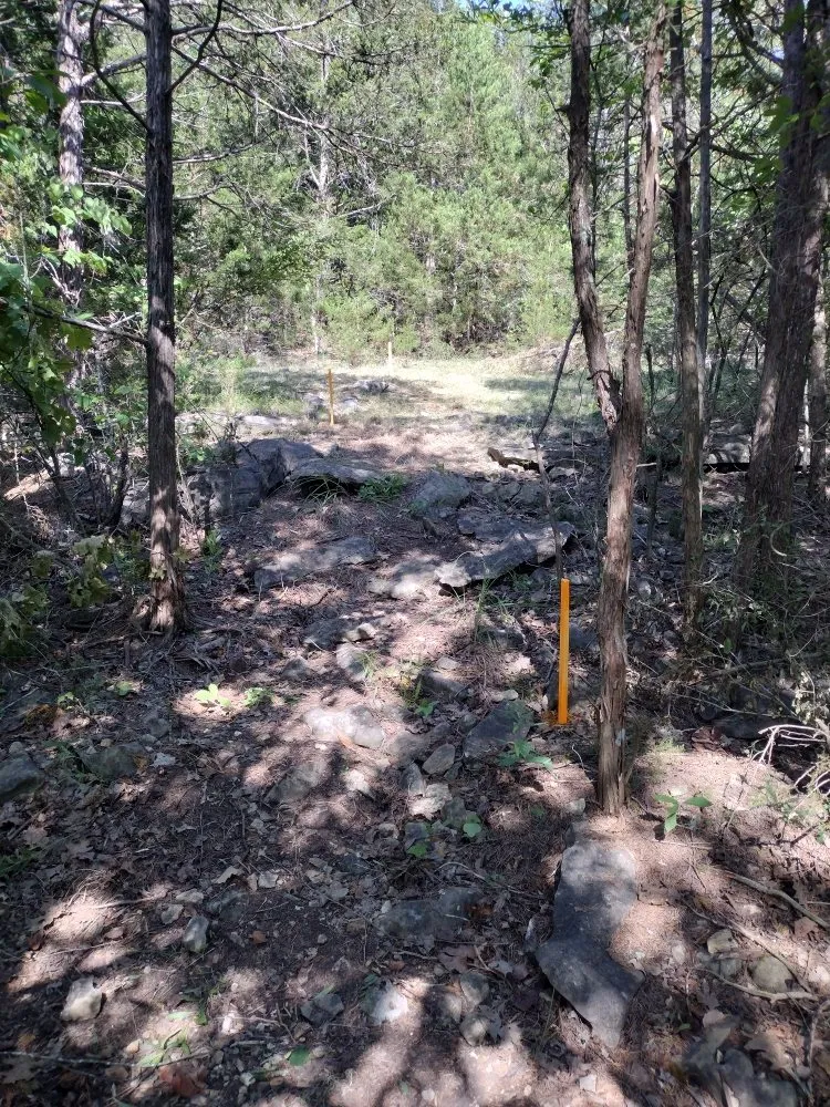 Top-rated lawn care service with custom design across Reeds Spring, MO - Ace's Lawn Care & Handyman services