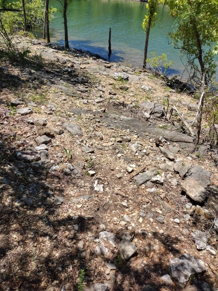 Custom yard maintenance for outdoor upgrades in Reeds Spring, MO by Ace's Lawn Care & Handyman services