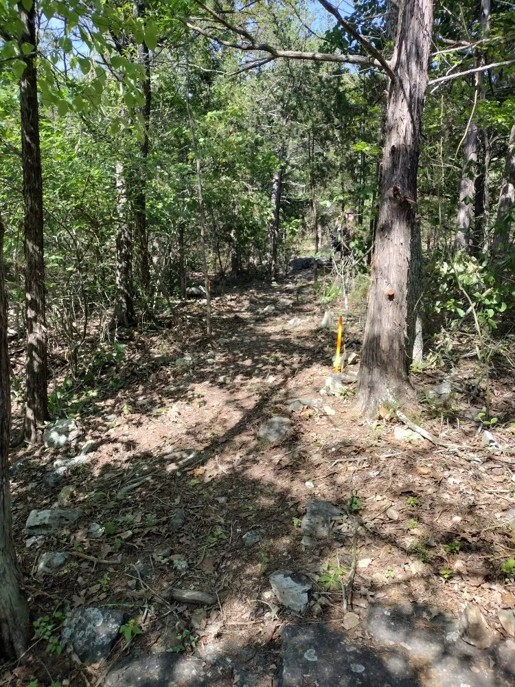 Trusted lawn care service in Reeds Spring, MO - Ace's Lawn Care & Handyman services