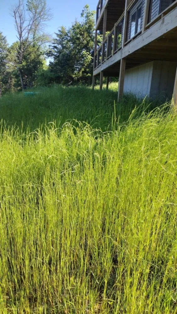 Professional landscape design in Reeds Spring, MO by Ace's Lawn Care & Handyman services