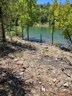 Ace's Lawn Care & Handyman services