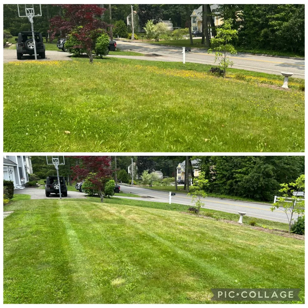 Top-rated outdoor landscaping in Holden, MA by Aces Lawn Care