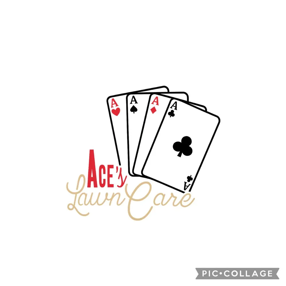 Expert lawn care service for year-round maintenance across Holden, MA - Aces Lawn Care