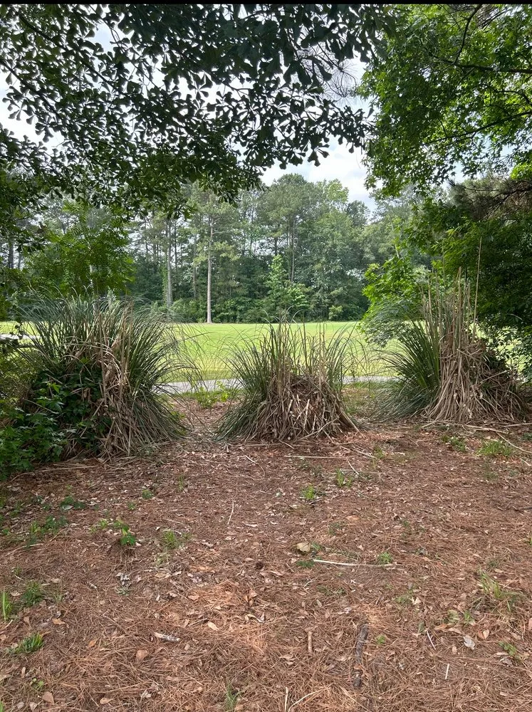 Local garden landscaping experts serving Ladson, SC - Ace’s Lawn Care