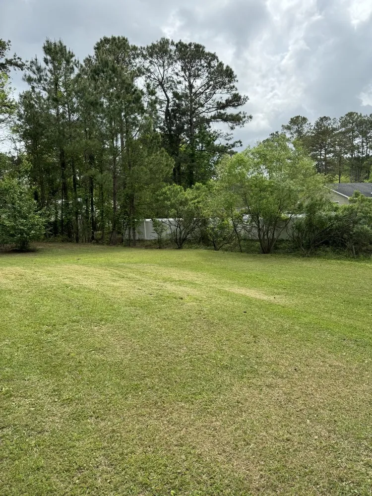 Affordable landscaping services for homes in Ladson, SC by Ace’s Lawn Care